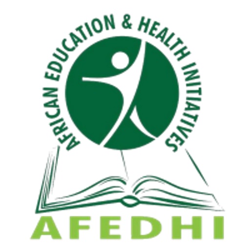 The African Education and Health Initiative